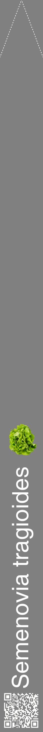Étiquette de : Semenovia tragioides - format b - style blanche57hel avec qrcode et comestibilité simplifiée