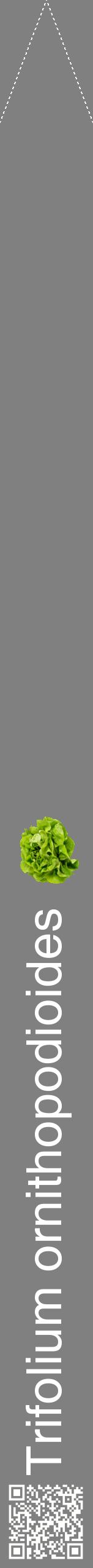 Étiquette de : Trifolium ornithopodioides - format b - style blanche57hel avec qrcode et comestibilité simplifiée