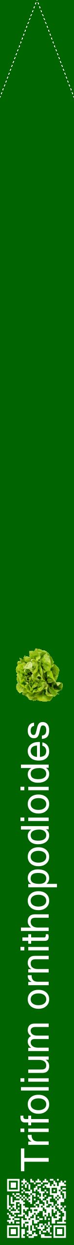 Étiquette de : Trifolium ornithopodioides - format b - style blanche8hel avec qrcode et comestibilité simplifiée