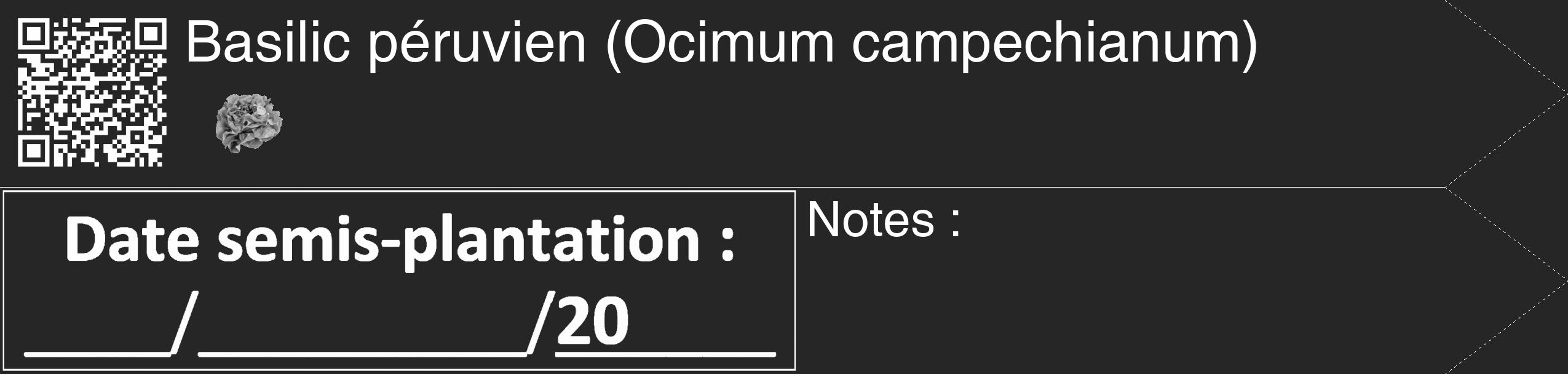 Étiquette de : Ocimum campechianum - format c - style blanche29_simple_simplehel avec qrcode et comestibilité simplifiée