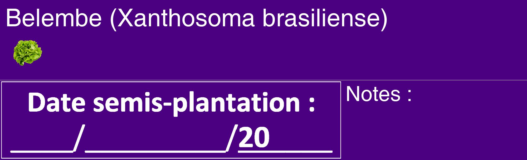 Étiquette de : Xanthosoma brasiliense - format c - style blanche47_basique_basiquehel avec comestibilité simplifiée
