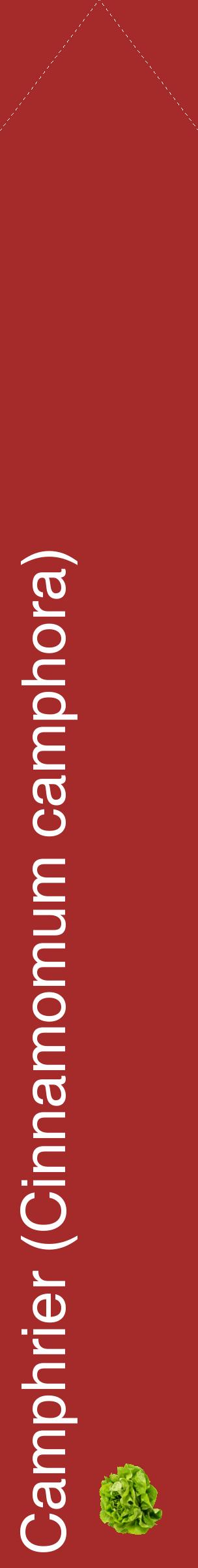 Étiquette de : Cinnamomum camphora - format c - style blanche33_simplehel avec comestibilité simplifiée