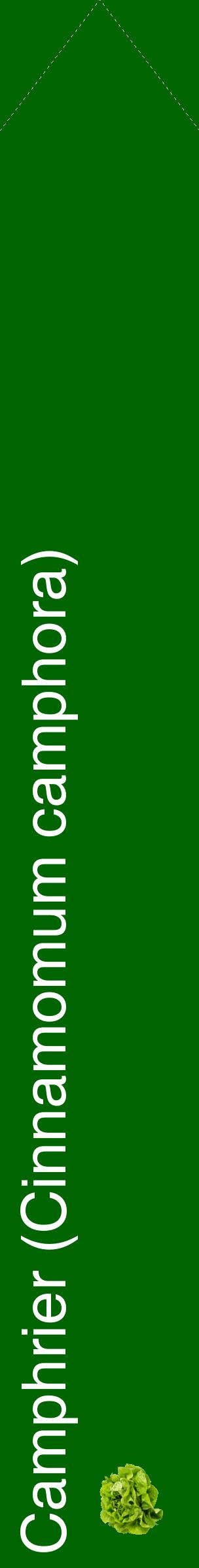 Étiquette de : Cinnamomum camphora - format c - style blanche8_simplehel avec comestibilité simplifiée