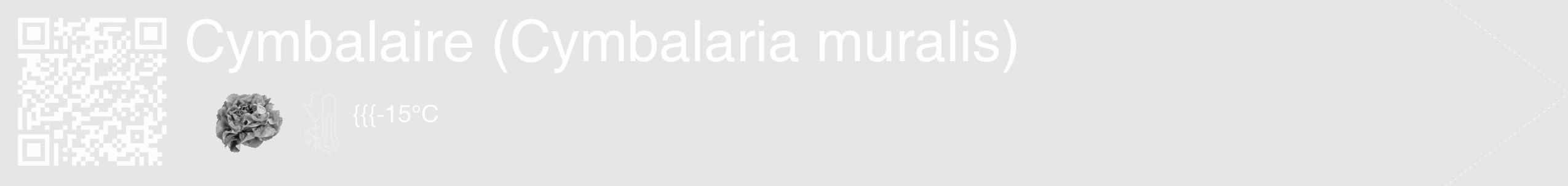 Étiquette de : Cymbalaria muralis - format c - style blanche18_simple_simplehel avec qrcode et comestibilité simplifiée