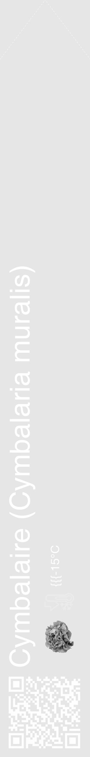 Étiquette de : Cymbalaria muralis - format c - style blanche18_simple_simplehel avec qrcode et comestibilité simplifiée - position verticale