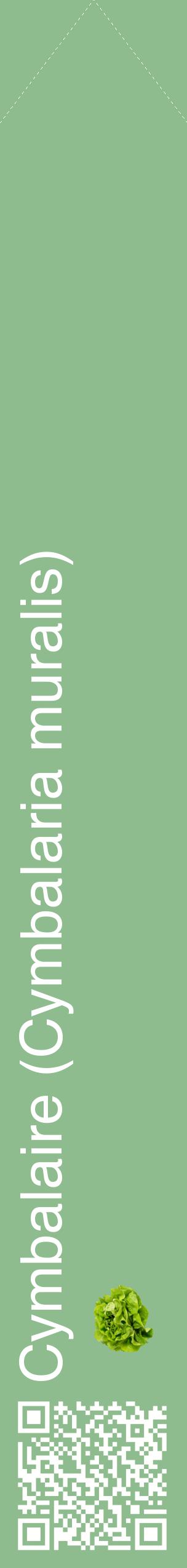 Étiquette de : Cymbalaria muralis - format c - style blanche13_simplehel avec qrcode et comestibilité simplifiée