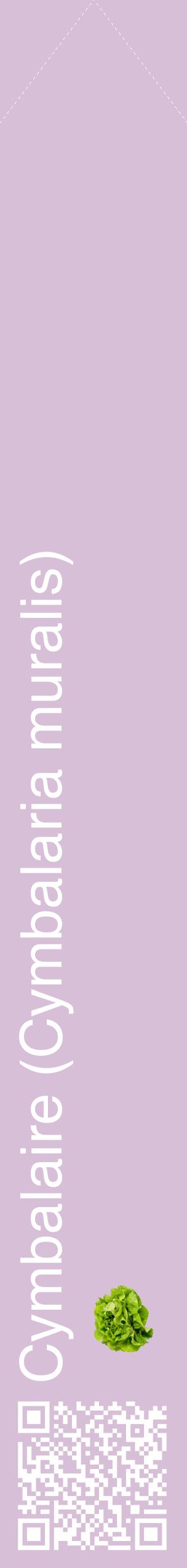 Étiquette de : Cymbalaria muralis - format c - style blanche54_simplehel avec qrcode et comestibilité simplifiée