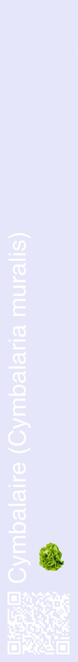Étiquette de : Cymbalaria muralis - format c - style blanche55_simplehel avec qrcode et comestibilité simplifiée
