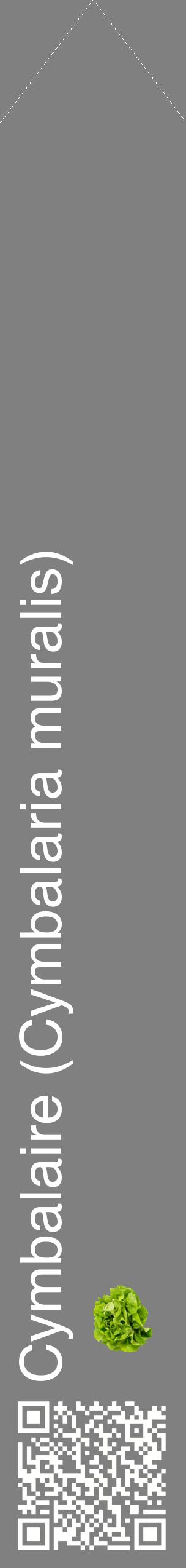 Étiquette de : Cymbalaria muralis - format c - style blanche57_simplehel avec qrcode et comestibilité simplifiée