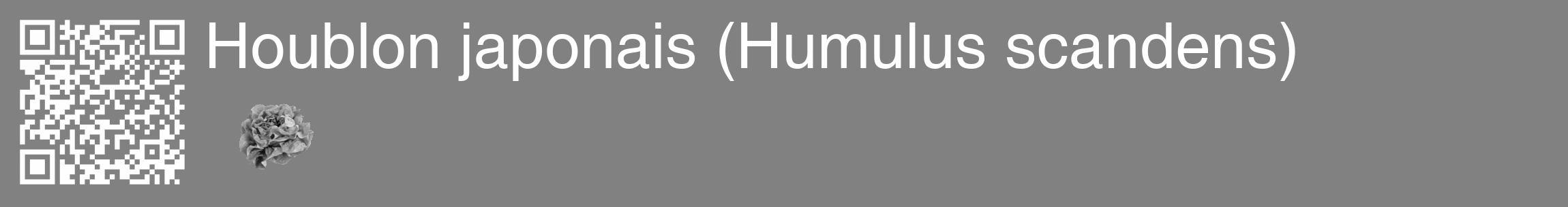 Étiquette de : Humulus scandens - format c - style blanche50_basique_basiquehel avec qrcode et comestibilité simplifiée