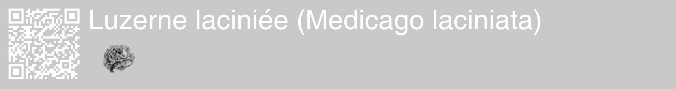 Étiquette de : Medicago laciniata - format c - style blanche54_basique_basiquehel avec qrcode et comestibilité simplifiée