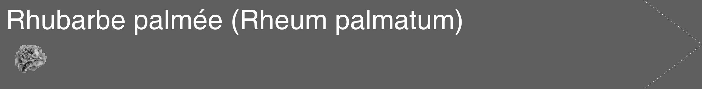 Étiquette de : Rheum palmatum - format c - style blanche10_simple_simplehel avec comestibilité simplifiée