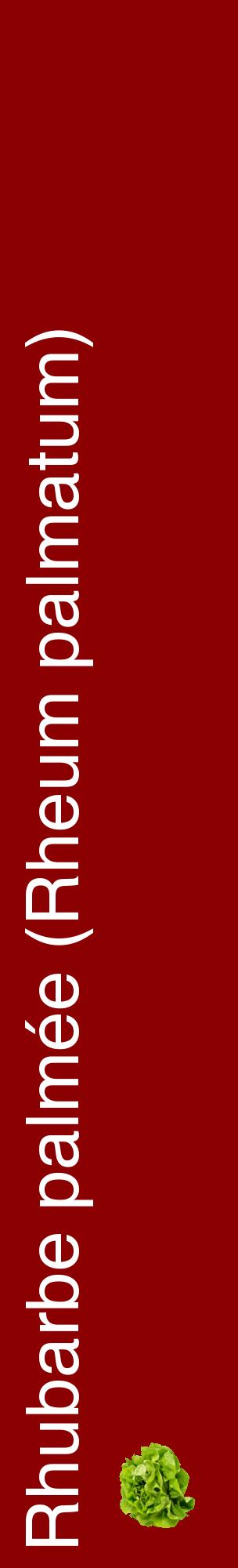 Étiquette de : Rheum palmatum - format c - style blanche34_basiquehel avec comestibilité simplifiée