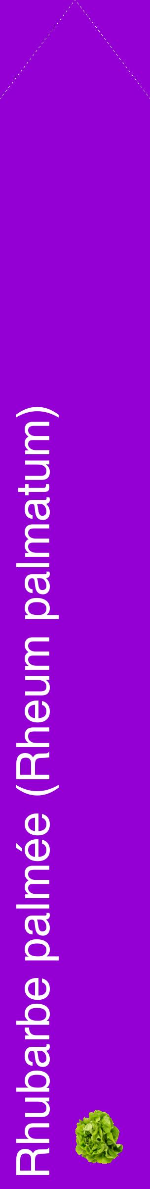 Étiquette de : Rheum palmatum - format c - style blanche48_simplehel avec comestibilité simplifiée
