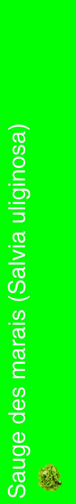 Étiquette de : Salvia uliginosa - format c - style blanche16_basiquehel avec comestibilité simplifiée