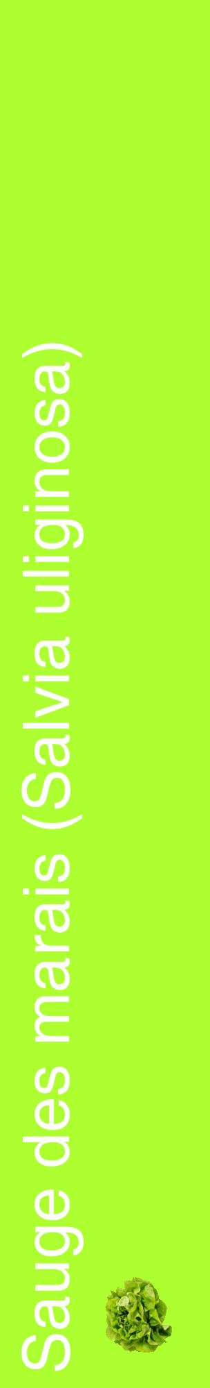 Étiquette de : Salvia uliginosa - format c - style blanche17_basiquehel avec comestibilité simplifiée