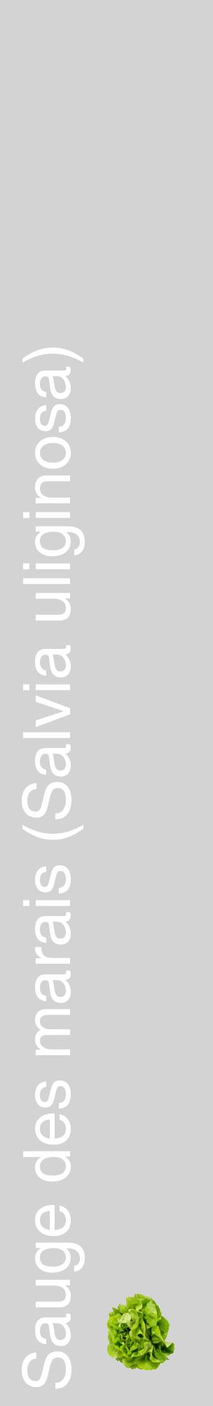 Étiquette de : Salvia uliginosa - format c - style blanche56_basiquehel avec comestibilité simplifiée