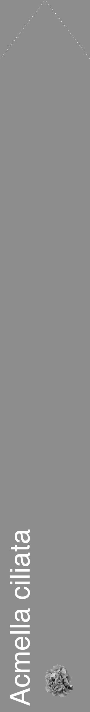 Étiquette de : Acmella ciliata - format c - style blanche2_simple_simplehel avec comestibilité simplifiée - position verticale