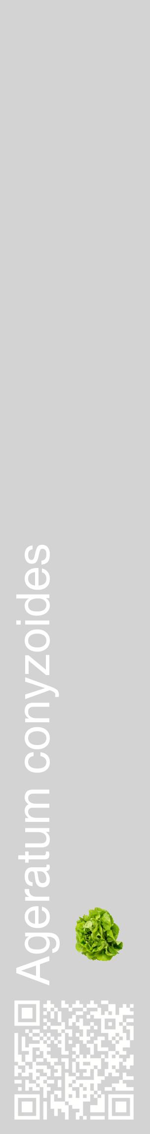 Étiquette de : Ageratum conyzoides - format c - style blanche56_basiquehel avec qrcode et comestibilité simplifiée