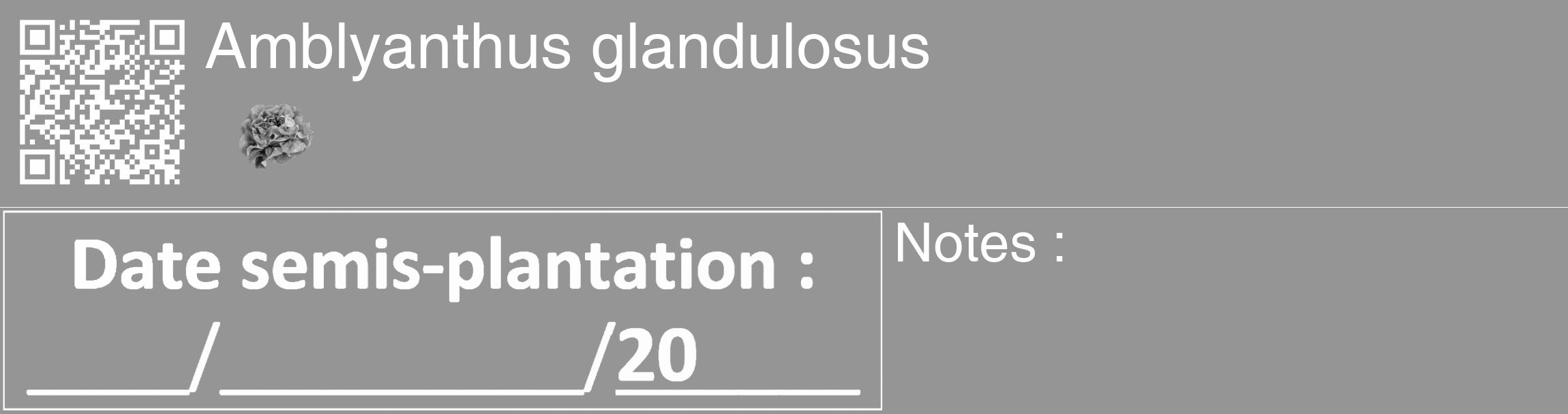 Étiquette de : Amblyanthus glandulosus - format c - style blanche16_basique_basiquehel avec qrcode et comestibilité simplifiée