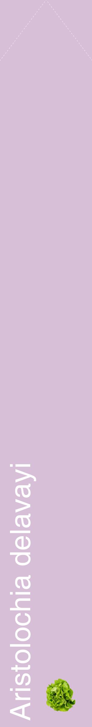 Étiquette de : Aristolochia delavayi - format c - style blanche54_simplehel avec comestibilité simplifiée