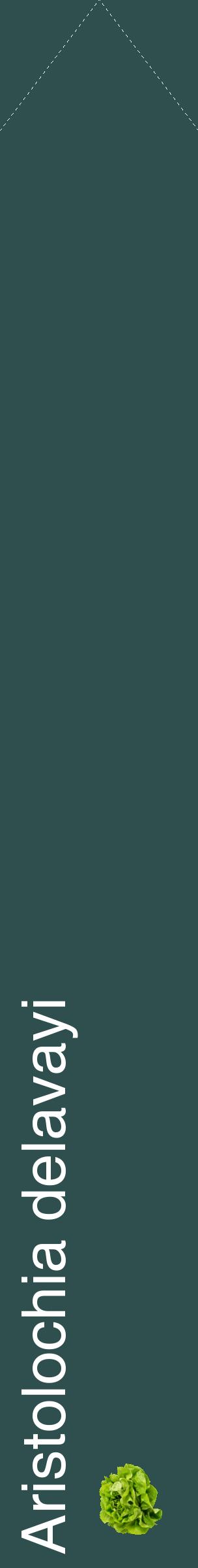Étiquette de : Aristolochia delavayi - format c - style blanche58_simplehel avec comestibilité simplifiée