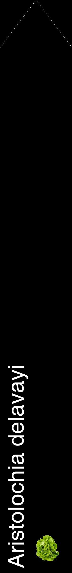 Étiquette de : Aristolochia delavayi - format c - style blanche59_simplehel avec comestibilité simplifiée