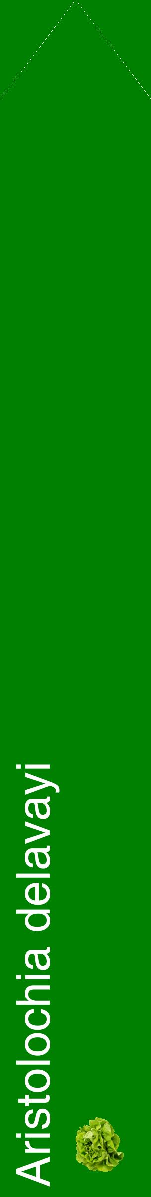 Étiquette de : Aristolochia delavayi - format c - style blanche9_simplehel avec comestibilité simplifiée