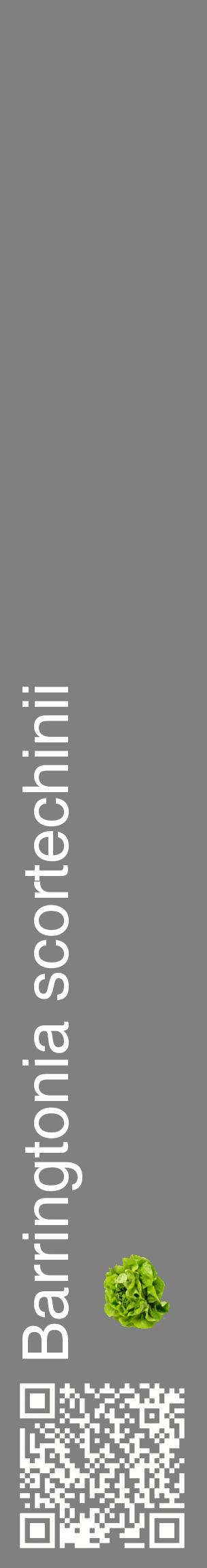Étiquette de : Barringtonia scortechinii - format c - style blanche57_basiquehel avec qrcode et comestibilité simplifiée