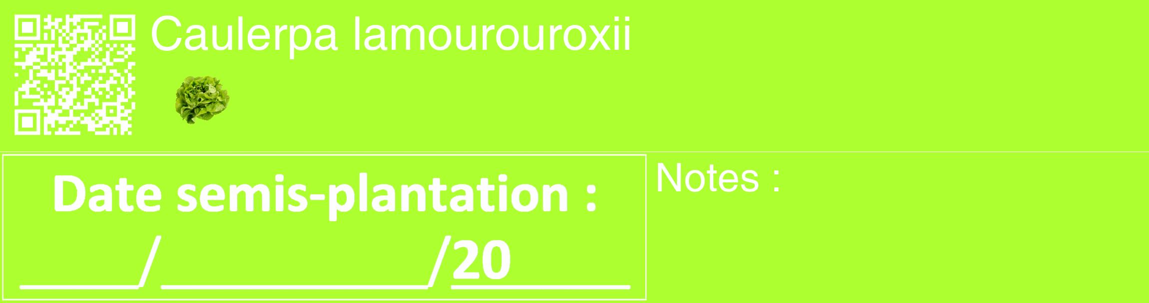 Étiquette de : Caulerpa lamourouroxii - format c - style blanche17_basique_basiquehel avec qrcode et comestibilité simplifiée