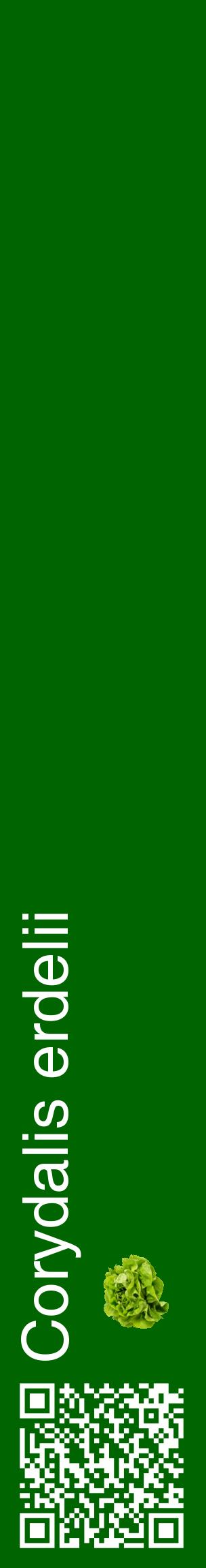 Étiquette de : Corydalis erdelii - format c - style blanche8_basiquehel avec qrcode et comestibilité simplifiée