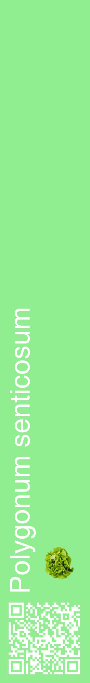 Étiquette de : Polygonum senticosum - format c - style blanche15_basiquehel avec qrcode et comestibilité simplifiée