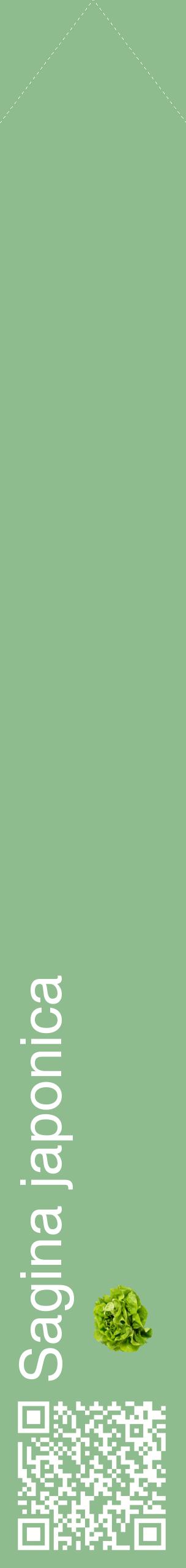 Étiquette de : Sagina japonica - format c - style blanche13_simplehel avec qrcode et comestibilité simplifiée