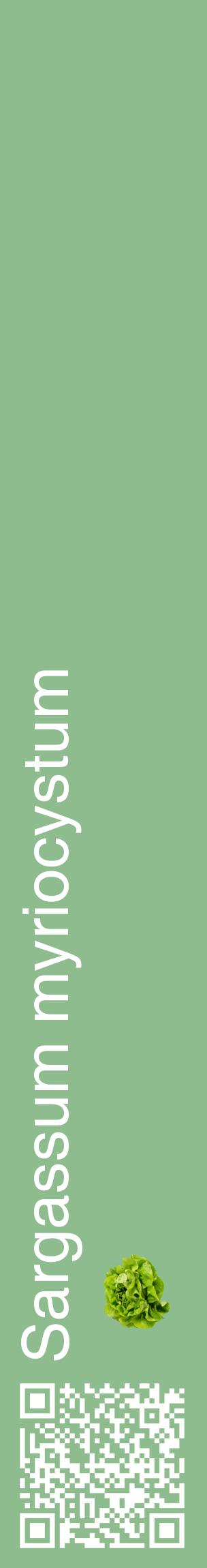 Étiquette de : Sargassum myriocystum - format c - style blanche13_basiquehel avec qrcode et comestibilité simplifiée