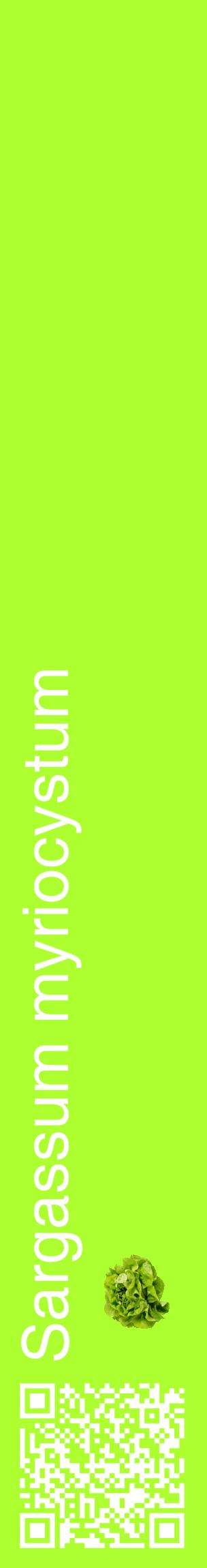 Étiquette de : Sargassum myriocystum - format c - style blanche17_basiquehel avec qrcode et comestibilité simplifiée