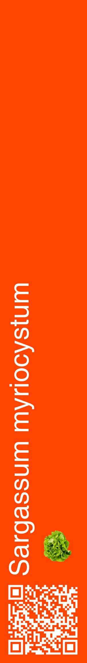 Étiquette de : Sargassum myriocystum - format c - style blanche26_basiquehel avec qrcode et comestibilité simplifiée