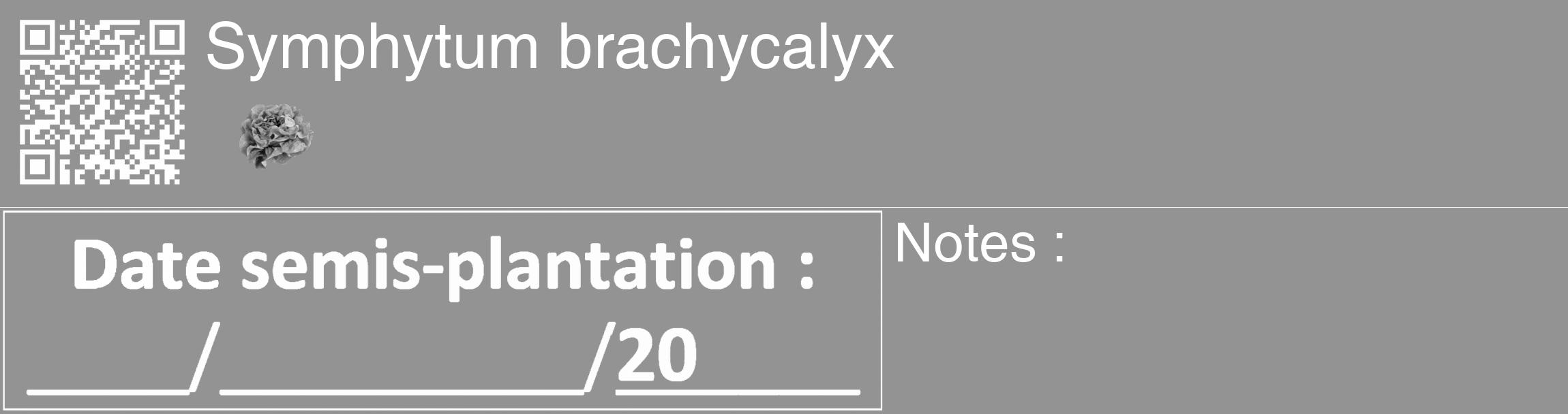 Étiquette de : Symphytum brachycalyx - format c - style blanche44_basique_basiquehel avec qrcode et comestibilité simplifiée