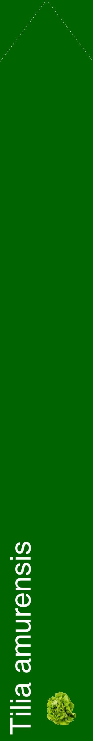Étiquette de : Tilia amurensis - format c - style blanche8_simplehel avec comestibilité simplifiée