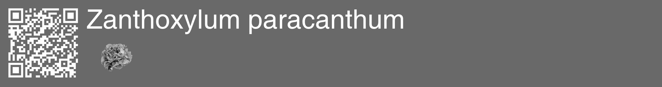 Étiquette de : Zanthoxylum paracanthum - format c - style blanche11_basique_basiquehel avec qrcode et comestibilité simplifiée