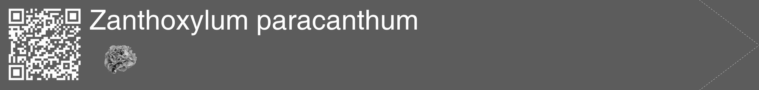 Étiquette de : Zanthoxylum paracanthum - format c - style blanche49_simple_simplehel avec qrcode et comestibilité simplifiée