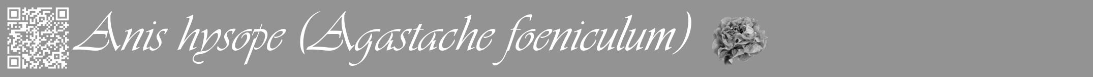 Étiquette de : Agastache foeniculum - format a - style blanche44viv avec qrcode et comestibilité simplifiée