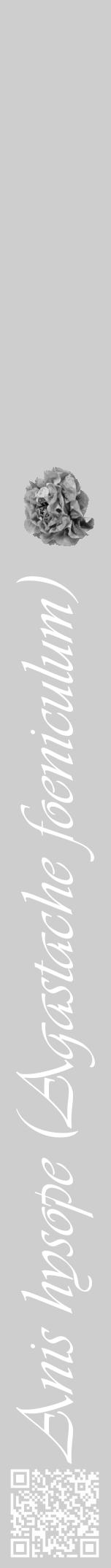 Étiquette de : Agastache foeniculum - format a - style blanche17viv avec qrcode et comestibilité simplifiée - position verticale