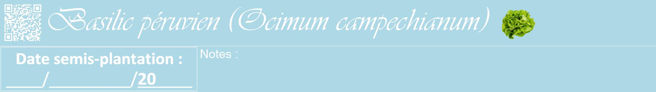 Étiquette de : Ocimum campechianum - format a - style blanche0viv avec qrcode et comestibilité simplifiée