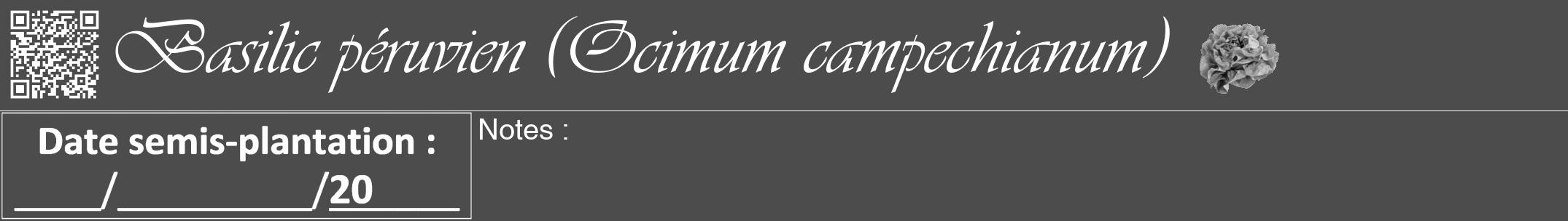 Étiquette de : Ocimum campechianum - format a - style blanche27viv avec qrcode et comestibilité simplifiée