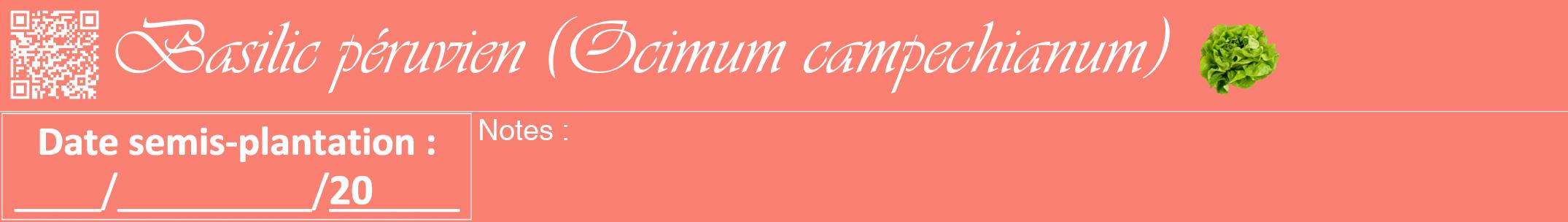 Étiquette de : Ocimum campechianum - format a - style blanche38viv avec qrcode et comestibilité simplifiée