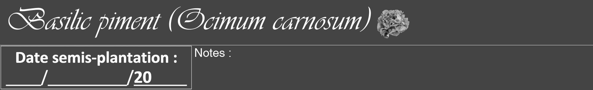 Étiquette de : Ocimum carnosum - format a - style blanche48viv avec comestibilité simplifiée