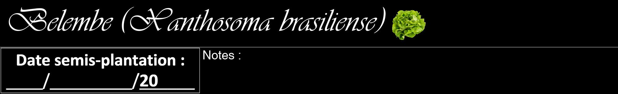 Étiquette de : Xanthosoma brasiliense - format a - style blanche59viv avec comestibilité simplifiée