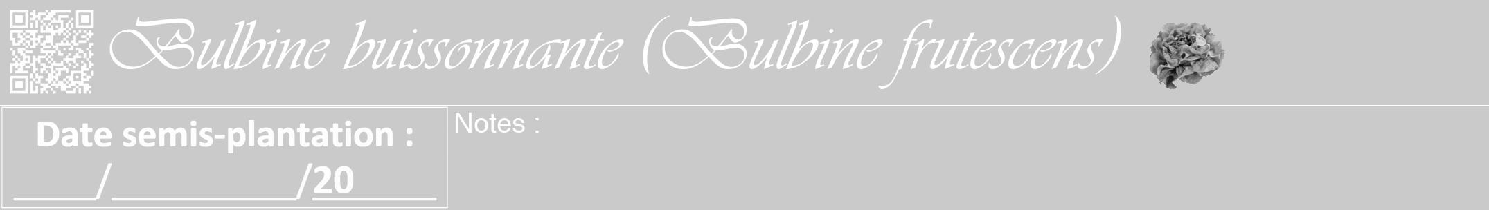 Étiquette de : Bulbine frutescens - format a - style blanche21viv avec qrcode et comestibilité simplifiée