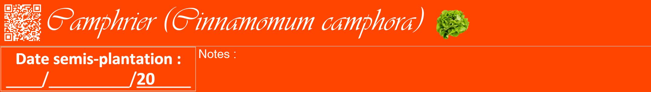 Étiquette de : Cinnamomum camphora - format a - style blanche26viv avec qrcode et comestibilité simplifiée