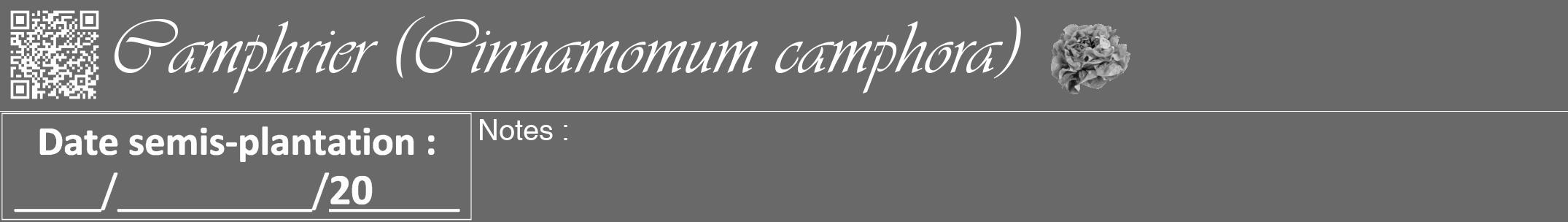 Étiquette de : Cinnamomum camphora - format a - style blanche51viv avec qrcode et comestibilité simplifiée